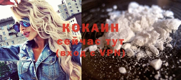 кокс Алексин