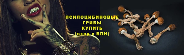 хмурый Алексеевка