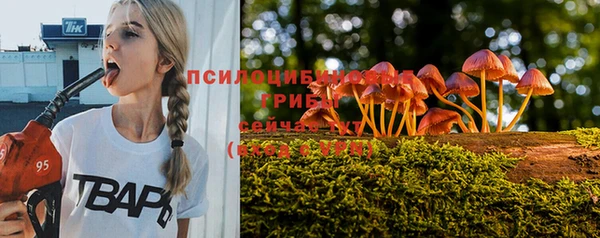 хмурый Алексеевка